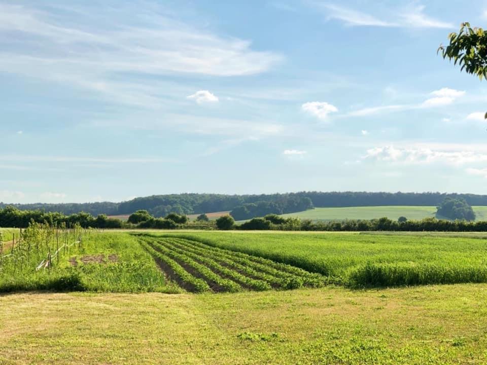 Agroturystyka „Nadbuzanski Swit” Wola Uhruska Exterior foto